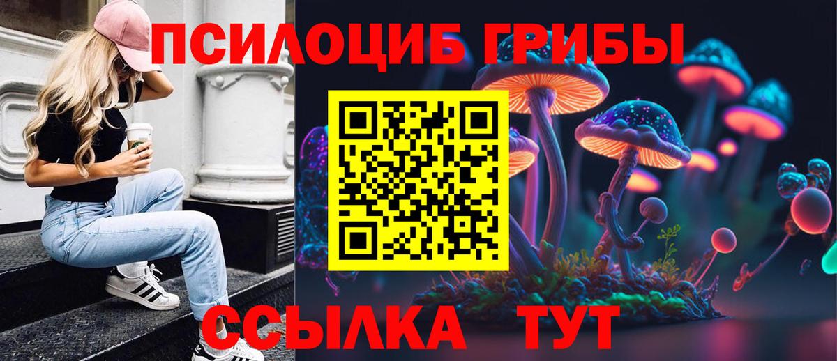 Крымск  Псилоцибиновые грибы ЛСД  Галлюциногенные грибы Psilocybine cubensis  Вход с VPN 